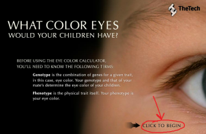 каким будет цвет глаз у ребенка